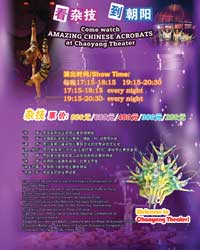 《雜技大世界》中國雜技表演