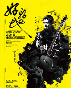 樸樹2015《好好地》全國巡回演唱會(huì) 北京站