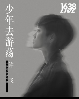 少年去游蕩—許飛全國巡回演唱會