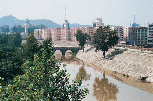 順慶桓子河段大道防洪堤
